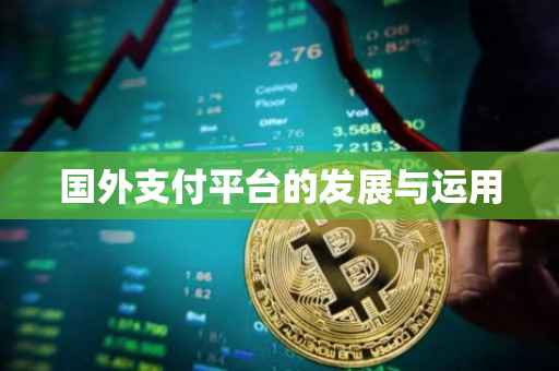 国外支付平台的发展与运用