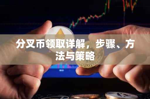 分叉币领取详解，步骤、方法与策略