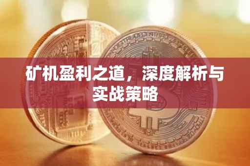 矿机盈利之道，深度解析与实战策略