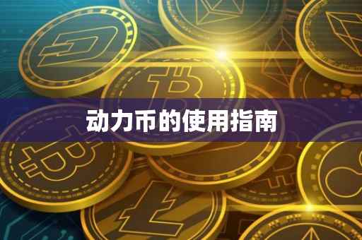 动力币的使用指南
