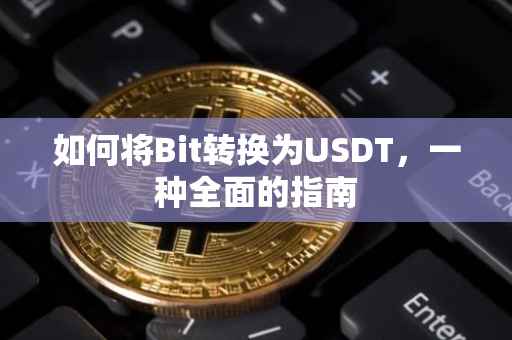 如何将Bit转换为USDT，一种全面的指南