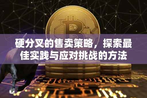 硬分叉的售卖策略，探索最佳实践与应对挑战的方法