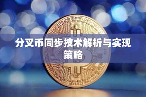 分叉币同步技术解析与实现策略