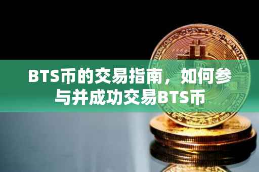 BTS币的交易指南，如何参与并成功交易BTS币