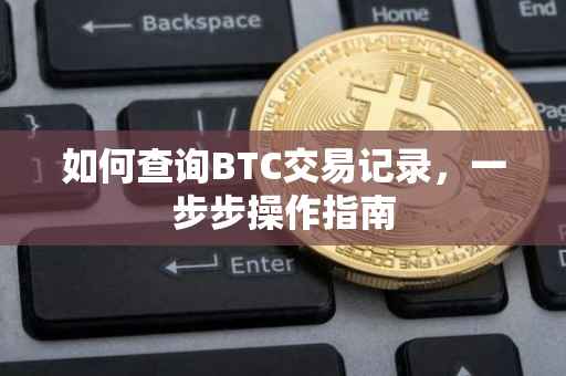 如何查询BTC交易记录，一步步操作指南