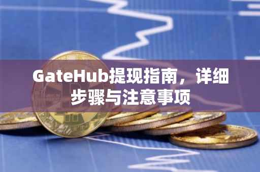 GateHub提现指南，详细步骤与注意事项