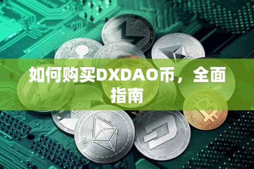 如何购买DXDAO币，全面指南