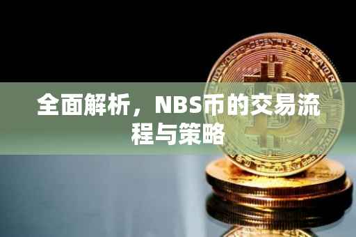 全面解析，NBS币的交易流程与策略