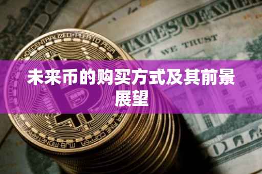 未来币的购买方式及其前景展望