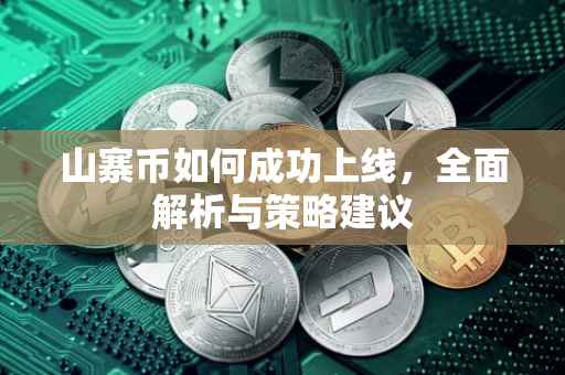 山寨币如何成功上线，全面解析与策略建议