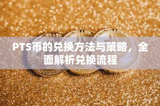 PTS币的兑换方法与策略，全面解析兑换流程