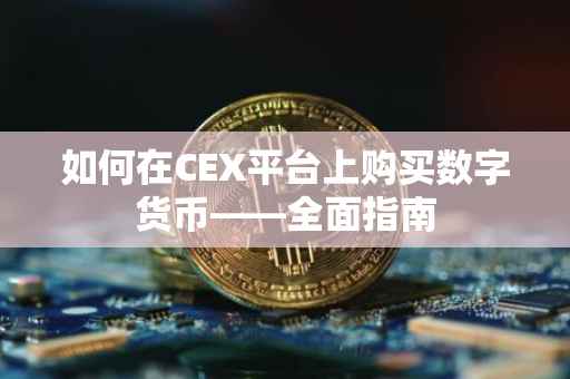 如何在CEX平台上购买数字货币——全面指南