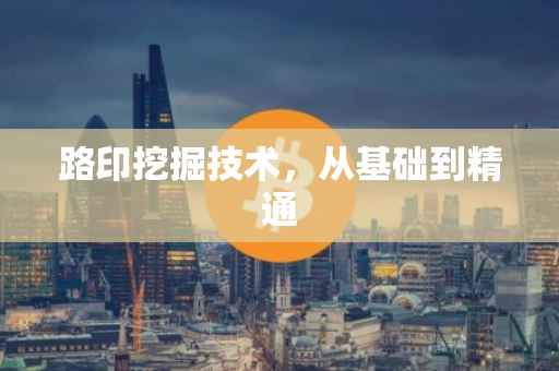 路印挖掘技术，从基础到精通