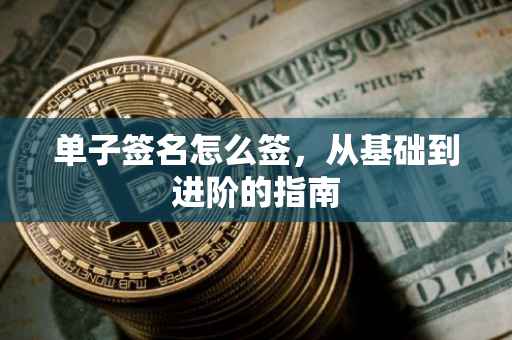 单子签名怎么签，从基础到进阶的指南