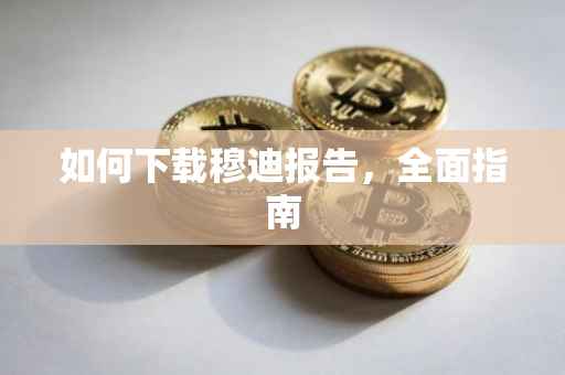 如何下载穆迪报告，全面指南