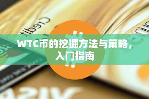 WTC币的挖掘方法与策略，入门指南