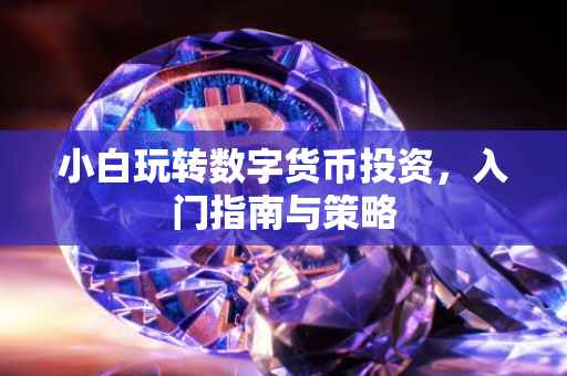 小白玩转数字货币投资，入门指南与策略
