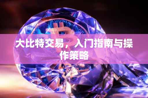 大比特交易，入门指南与操作策略