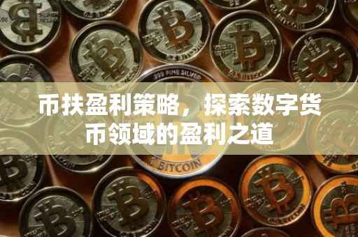 币扶盈利策略，探索数字货币领域的盈利之道