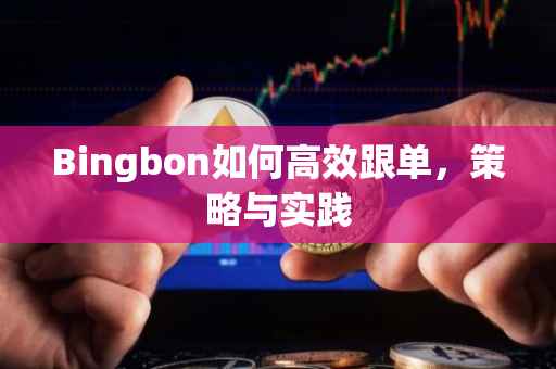 Bingbon如何高效跟单，策略与实践