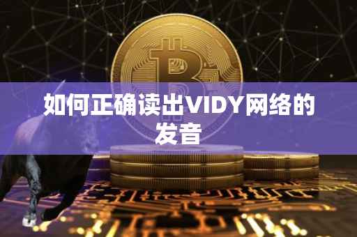 如何正确读出VIDY网络的发音