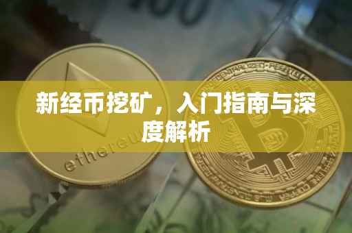 新经币挖矿，入门指南与深度解析