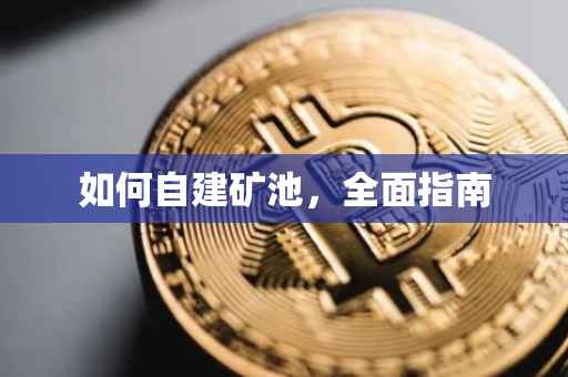 如何自建矿池，全面指南