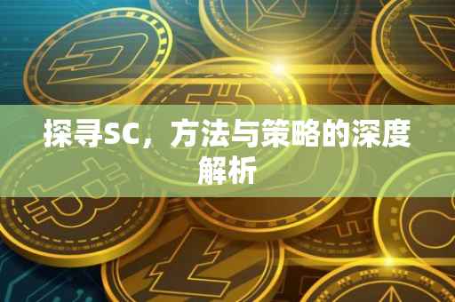 探寻SC，方法与策略的深度解析