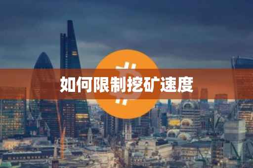如何限制挖矿速度
