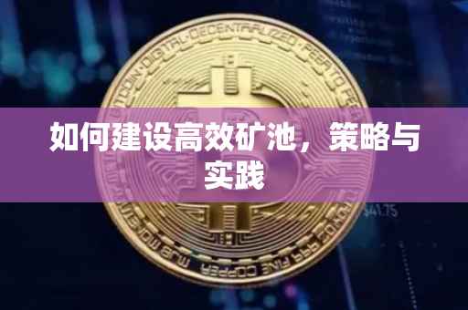如何建设高效矿池，策略与实践