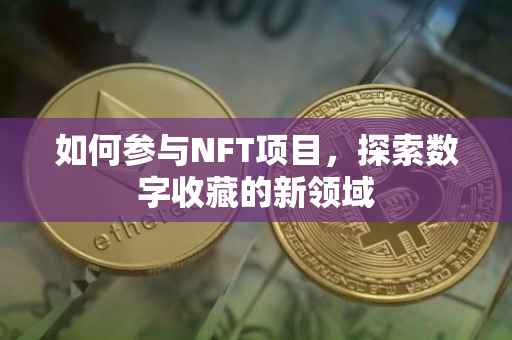 如何参与NFT项目，探索数字收藏的新领域