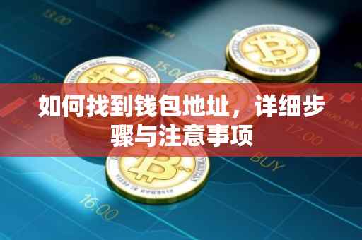 如何找到钱包地址，详细步骤与注意事项