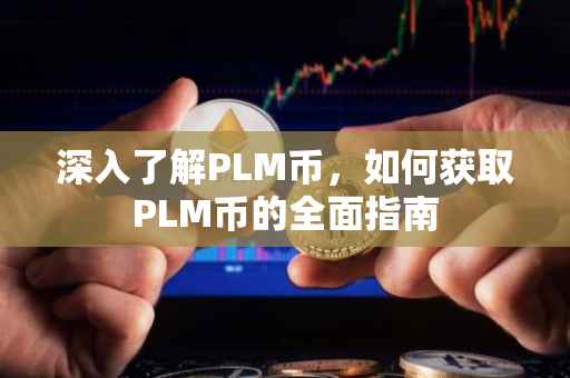 深入了解PLM币，如何获取PLM币的全面指南