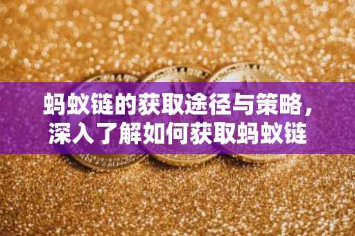 蚂蚁链的获取途径与策略，深入了解如何获取蚂蚁链