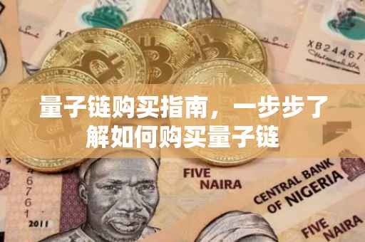 量子链购买指南，一步步了解如何购买量子链