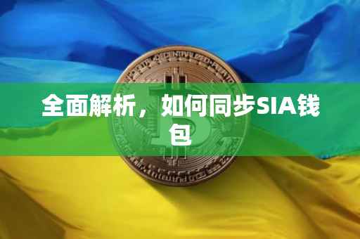 全面解析，如何同步SIA钱包