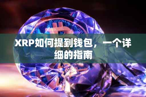 XRP如何提到钱包，一个详细的指南