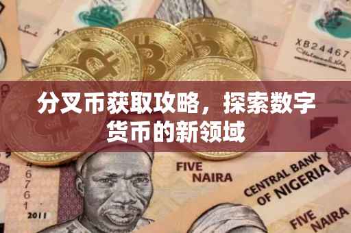 分叉币获取攻略，探索数字货币的新领域
