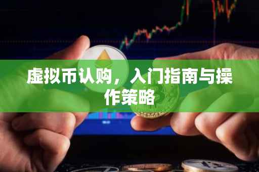 虚拟币认购，入门指南与操作策略