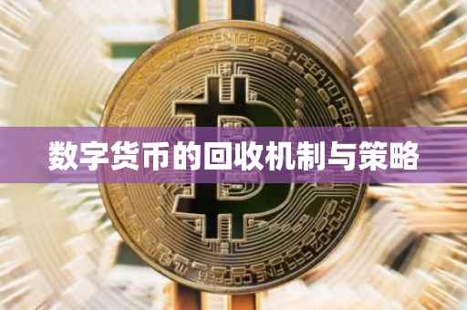 数字货币的回收机制与策略