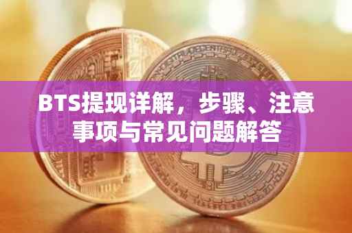 BTS提现详解，步骤、注意事项与常见问题解答