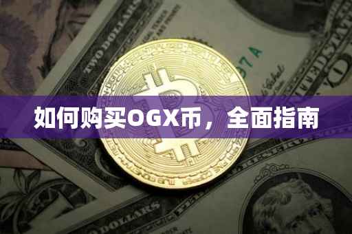 如何购买OGX币，全面指南