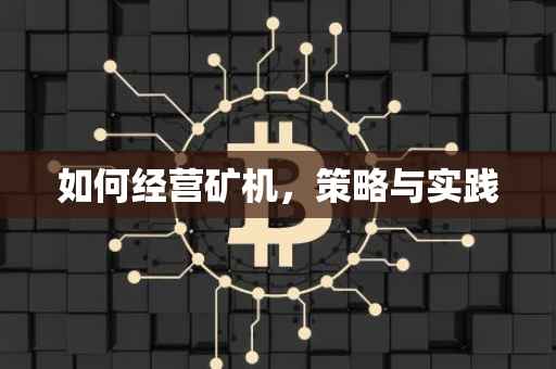 如何经营矿机，策略与实践