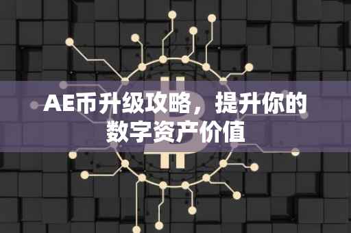 AE币升级攻略，提升你的数字资产价值