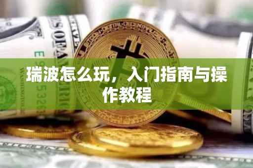 瑞波怎么玩，入门指南与操作教程