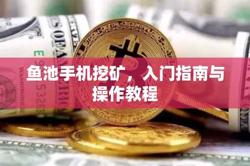 鱼池手机挖矿，入门指南与操作教程
