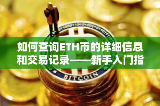 如何查询ETH币的详细信息和交易记录——新手入门指南