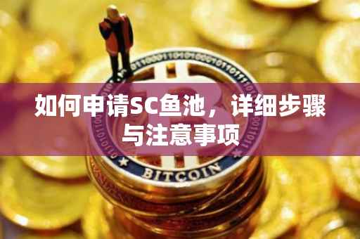 如何申请SC鱼池，详细步骤与注意事项