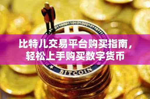 比特儿交易平台购买指南，轻松上手购买数字货币