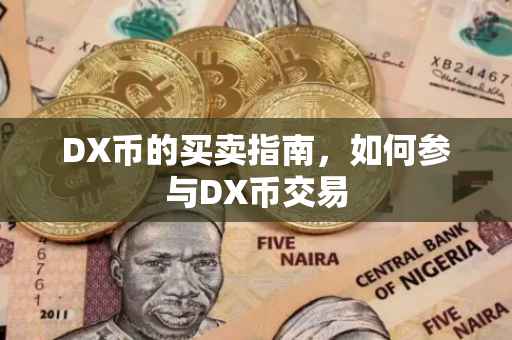 DX币的买卖指南，如何参与DX币交易